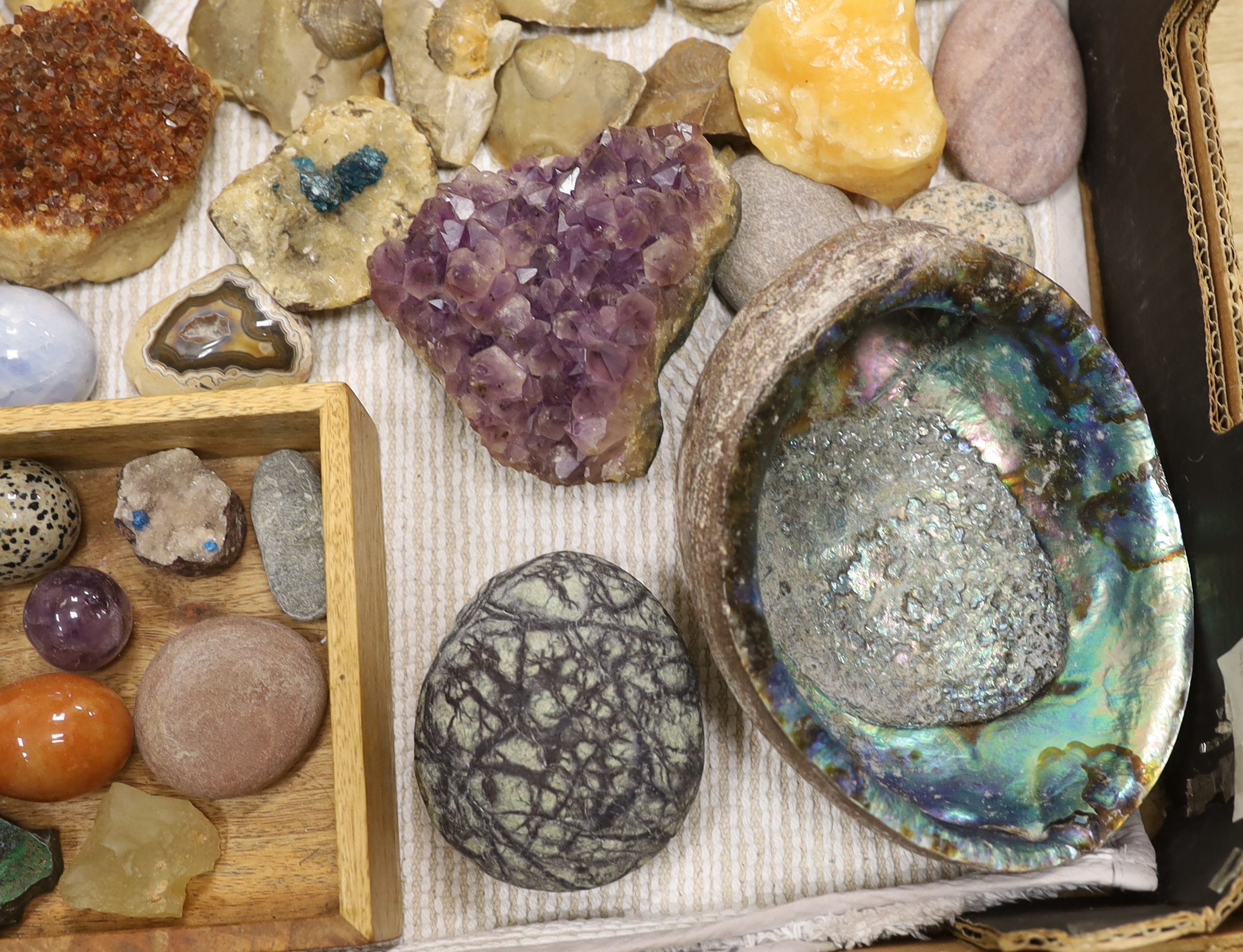 A collection of minerals, gemstones and fossils including quartz samples, ammonites, etc.